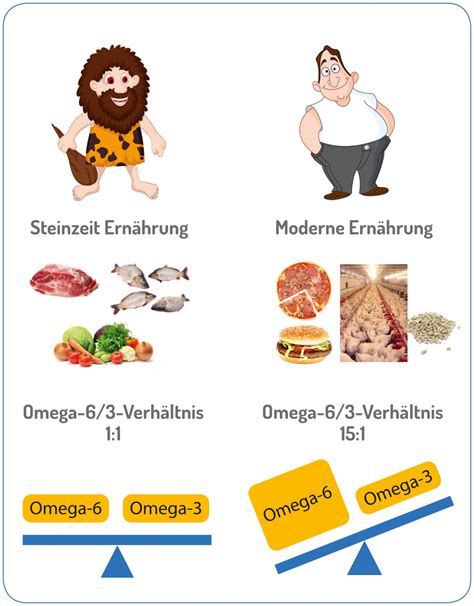 omega 3 fettsäuren qualität